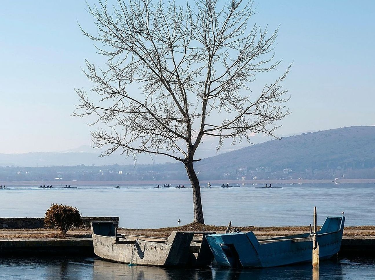 Düşük güneş ışığında inci balığının kütlesi belli oluyor